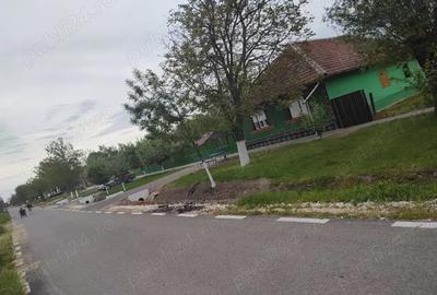Teren de 1900 mp, în Rovinița Mare - 4