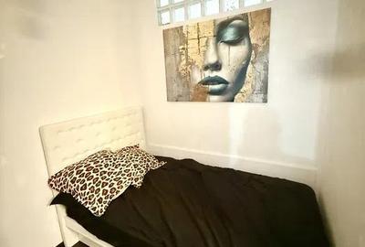 Apartament cu 2 camere semidecomandat în Mărăști - 2