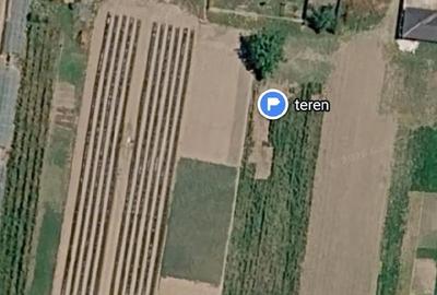 Teren în Belinț