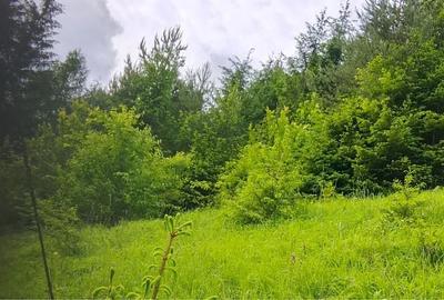 Teren de 3000 mp, în Bicazu Ardelean - 2