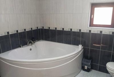 Casă cu 4 camere cu Teren 18600 Mp în Foeni