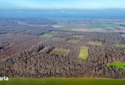 Teren de 16900 mp, în Grădiștea