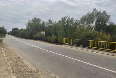 Teren de 4200 mp, în Gorgota - 7