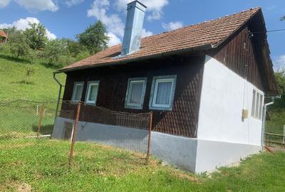 Casă cu 2 camere cu Teren 8000 Mp în Brăzești - 2
