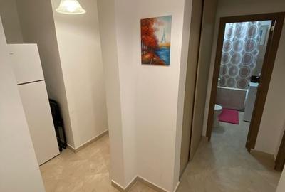 Garsonieră decomandată în Camil Ressu - 7