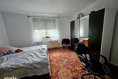 Casă cu 5 camere cu Teren 1566 Mp în Vladimirescu - 4
