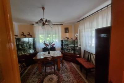 Casă individuală cu 6 camere cu Canalizare în Șercăița - 4