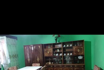 Casă cu 5 camere cu Teren 3313 Mp în Hodiș