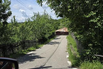 Teren de 1485 mp, în Șotrile - 3