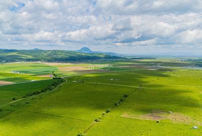 Teren agricol extravilan de 5800 mp, în Tohanu Nou - 3