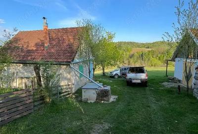 Teren de 20000 mp, în Târnova - 6