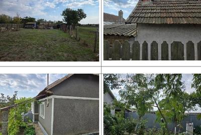 Casă cu 3 camere în Viișoara
