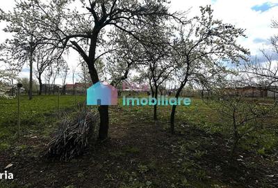 Casă cu 3 camere în Central - 9