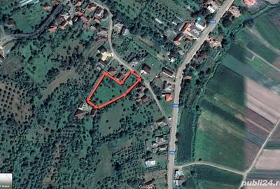 Teren de 4100 mp, în Remetea Chioarului - 2