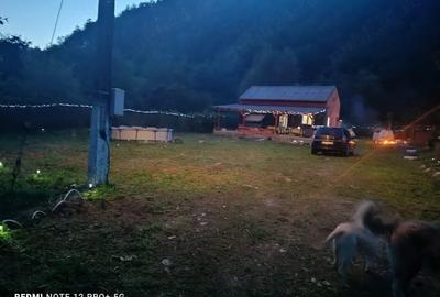Casă cu Teren 1046 Mp în Hărțăgani - 6