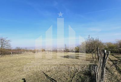 Teren Construcții intravilan de 700 mp, în Cetate - 2