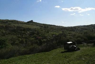 Teren de 4100 mp, în Ampoița - 6