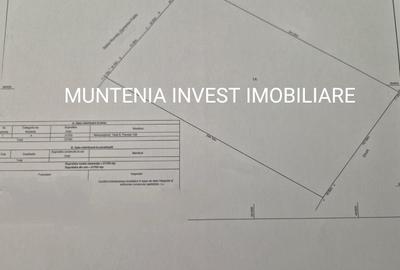 Spațiu comercial, în Purcăreni
