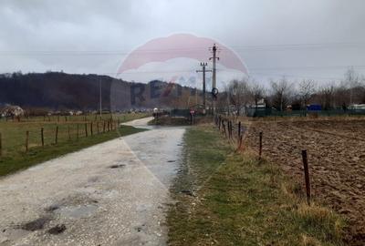 Teren agricol extravilan de 7150 mp, în Glăjărie