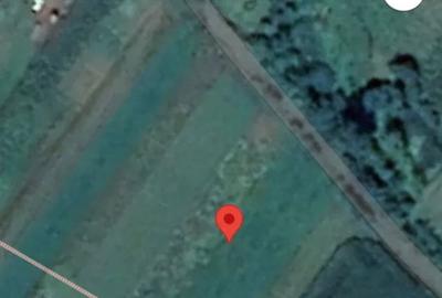 Teren de 2000 mp, în Pătrăuți - 4