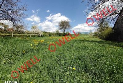 Casă cu 5 camere cu Teren 1249 Mp în Măieruș - 6