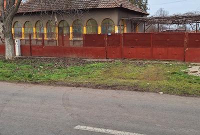 Casă individuală cu 3 camere cu Teren 1000 Mp în Teremia Mare - 4