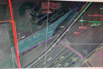 Teren Construcții intravilan de 32700 mp, în Freidorf - 3