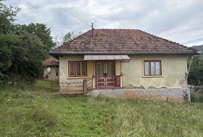 Casă cu 3 camere în Ormindea