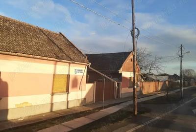 Teren de 5610 mp, în Șimand - 8