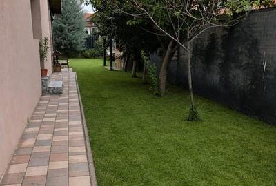 Casă cu 4 camere cu Teren 390 Mp în Berceni - 11