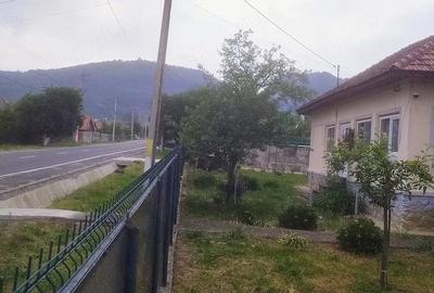 Teren de 6800 mp, în Polovragi - 10