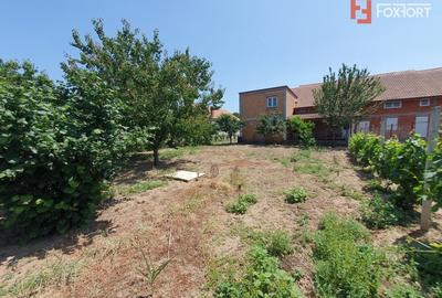 Duplex cu 6 camere cu Canalizare în Peciu Nou - 30