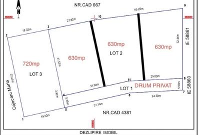 Teren Construcții intravilan de 720 mp, în Snagov - 3