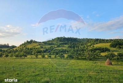 Teren de 4301 mp, în Bârsana - 6