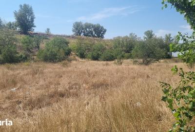 Teren de 2141 mp, în Borș