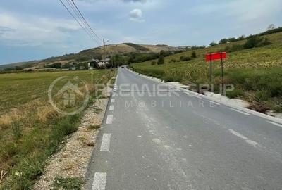 Teren Construcții intravilan de 17500 mp, în Miroslava - 2