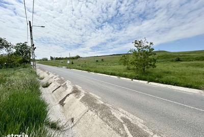 Teren de 834 mp, în Dumești - 3
