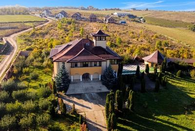 Casă individuală cu 10 camere cu Piscina în Vișani - 1