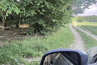 Teren de 2600 mp, în Măriței - 1