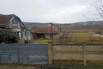 Casă cu 3 camere cu Teren 3700 Mp în Ceanu Mare