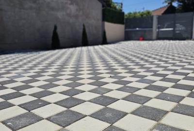 Casă cu 3 camere cu Canalizare în Brătianu - 10