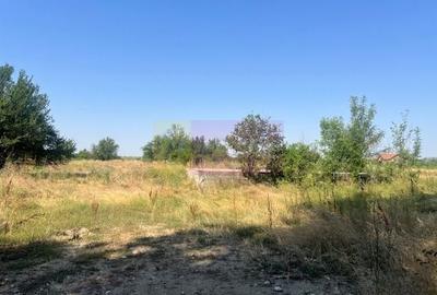 Teren agricol intravilan de 2976 mp, în Ordoreanu - 3