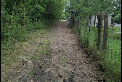 Teren de 3000 mp, în Cocorăștii Mislii - 4