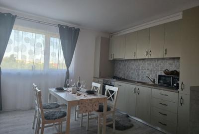 Apartament cu 2 camere semidecomandat în Torontalului - 11