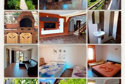Casă cu Teren 485 Mp în Schitu - 3