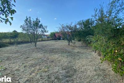 Casă cu 2 camere cu Teren 676 Mp în Sâmbăta - 12
