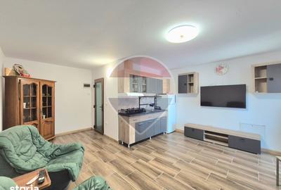 Apartament cu 2 camere în Șega