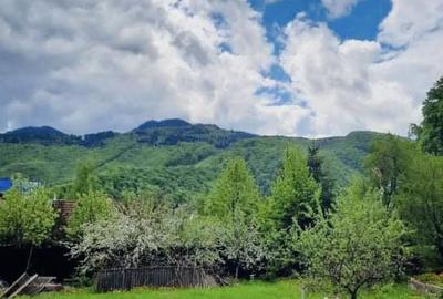 Teren de 800 mp, în Dârste - 2