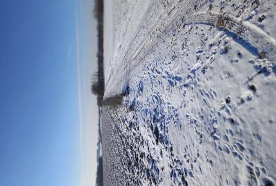 Teren de 10000 mp, în Găgeni - 3