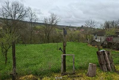 Casă cu 6 camere cu Teren 1900 Mp în Mihai Bravu